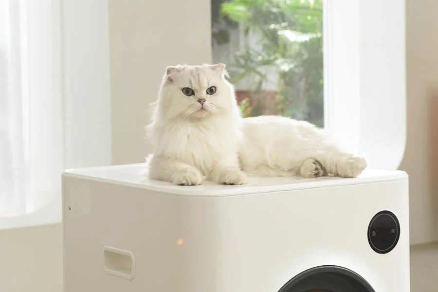 auto cleaning cat litter box